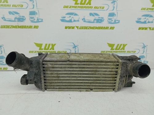 Intercooler 2.0 hdi 874823nk Peugeot 407 [2004 - 2010]