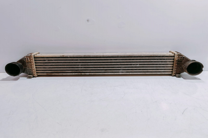 Intercooler A1695000000 Mercedes-Benz A-Class W169 [2004 - 2008]