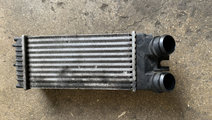 Intercooler Citroen Xsara Picasso [1999 - 2004] Mi...