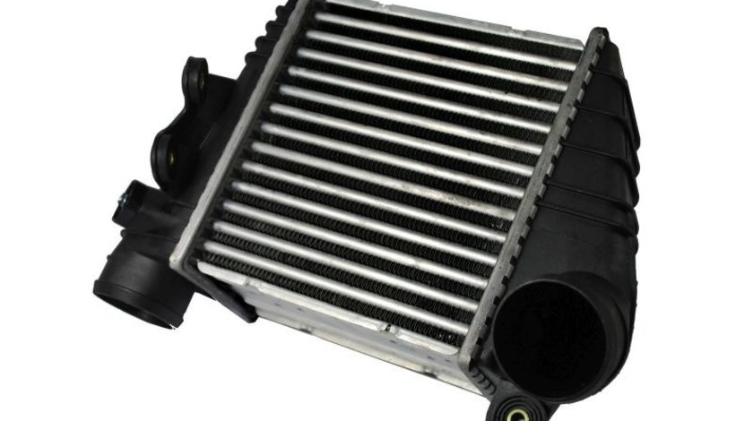 Intercooler, compresor AUDI TT (8N3) THERMOTEC DAW001TT