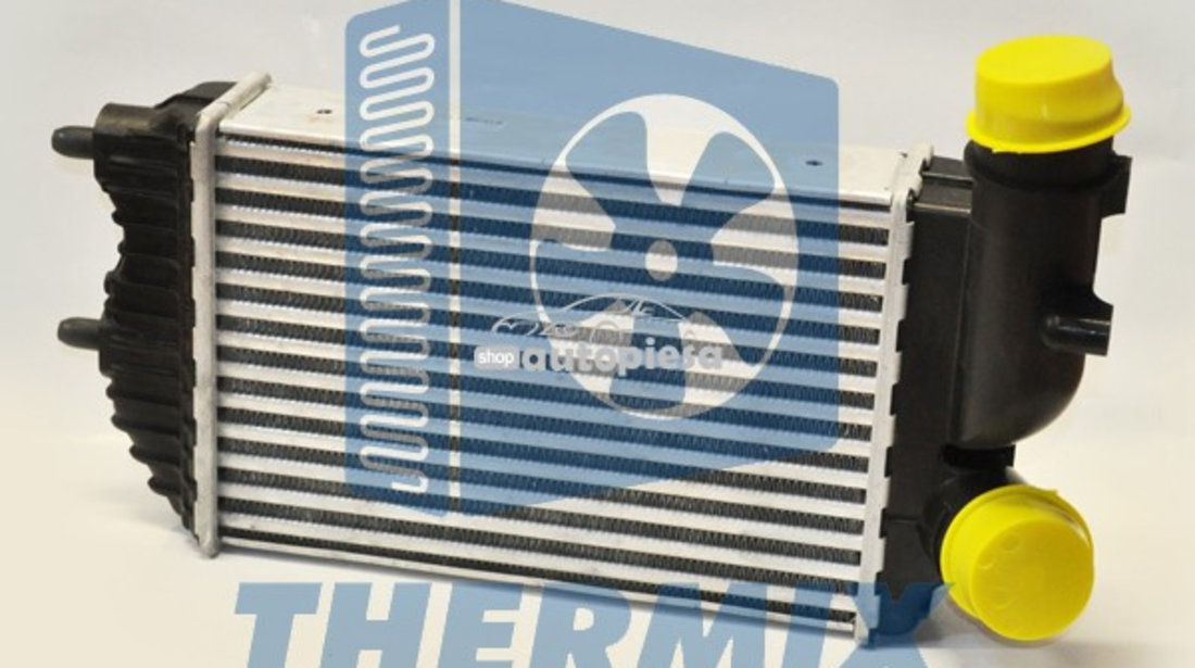 Intercooler, compresor FIAT DUCATO bus (230) (1994 - 2002) THERMIX TH.03.002 piesa NOUA