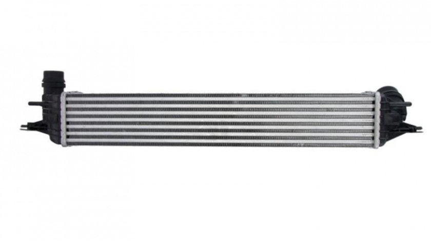 Intercooler, compresor Renault LAGUNA cupe (DT0/1) 2008-2016 #4 144960001R