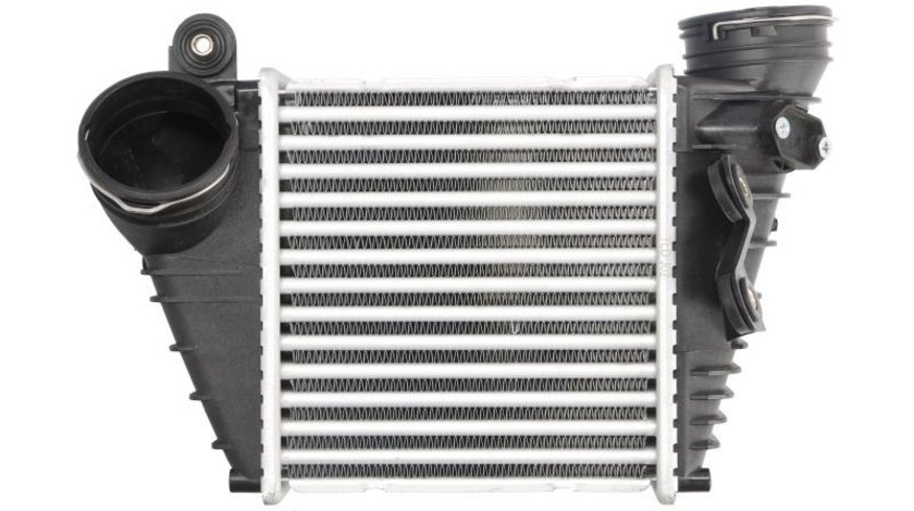 Intercooler, compresor SEAT LEON (1M1) THERMOTEC DAW008TT