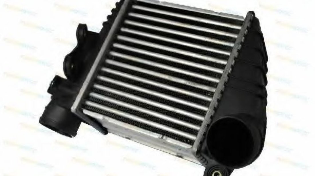 Intercooler, compresor SEAT TOLEDO II (1M2) (1998 - 2006) THERMOTEC DAW001TT piesa NOUA