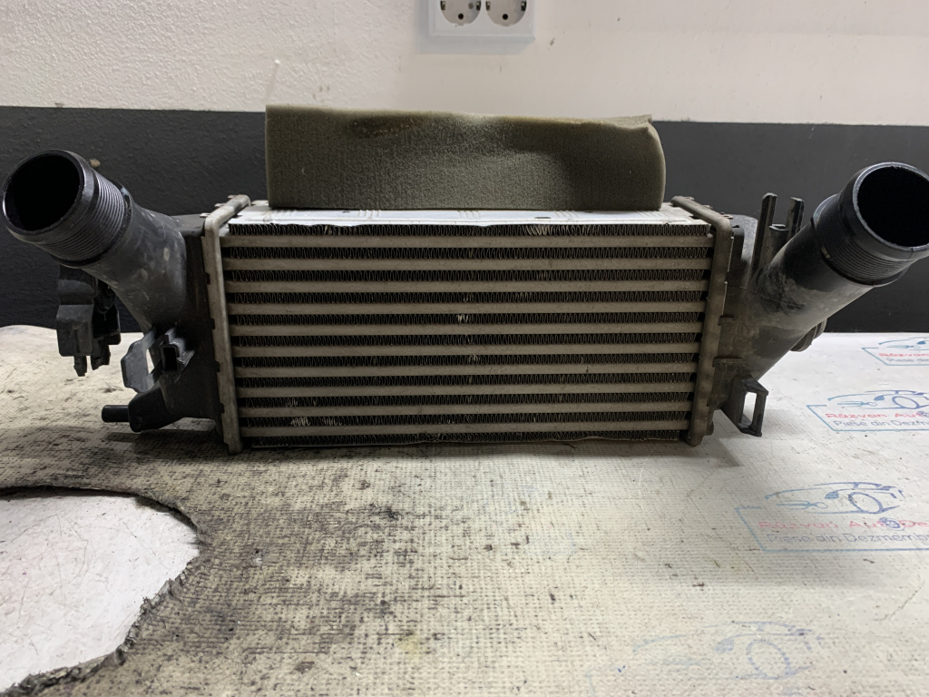 Intercooler Ford Ecosport 1.0 Benzina 2019, H1BG6K775AC