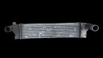 Intercooler Land Rover Freelander [1998 - 2006] Cr...