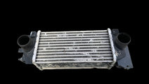 Intercooler Land Rover Freelander [1998 - 2006] Cr...