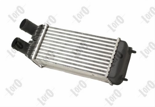 Intercooler Loro Citroën 038-018-0004