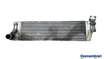 Intercooler Renault Megane 2 [2002 - 2006] Sedan 1...