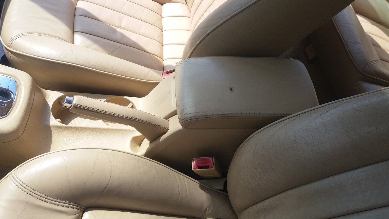 Sunny growth evolution Interior piele crem,VW Passat B5.5, caroserie Caravan, fabr. 2003 #29281511