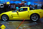 International Motor Show (IAA) - Frankfurt.