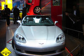 International Motor Show (IAA) - Frankfurt.