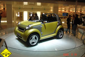 International Motor Show (IAA) - Frankfurt.