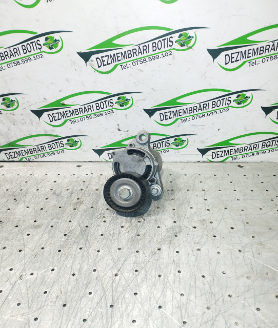 Intinzator curea accesorii 7 619 248 09 BMW Seria 3 F30/F31/F34 [2011 - 2016] Sedan 320i xDrive MT (184 hp)