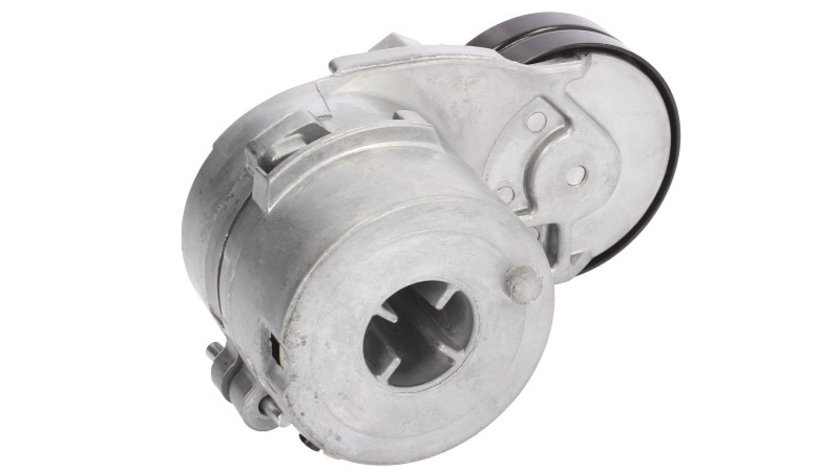 Intinzator curea accesorii AUDI 80 (8C2, B4) BTA E2W0016BTA