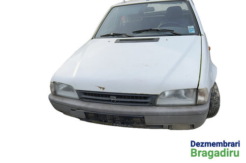 Intinzator curea accesorii Dacia Super nova [2000 - 2003] liftback 1.4 MPI MT (75 hp) Cod motor: E7J...