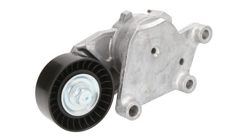 intinzator curea accesorii FORD FIESTA VI (CB1, CCN) BTA E3P0001BTA