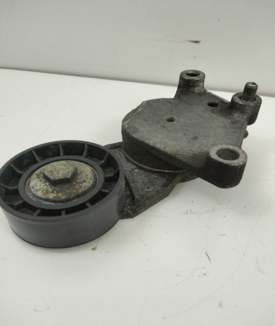 Intinzator curea accesorii Ford Focus 2 [2004 - 2008]