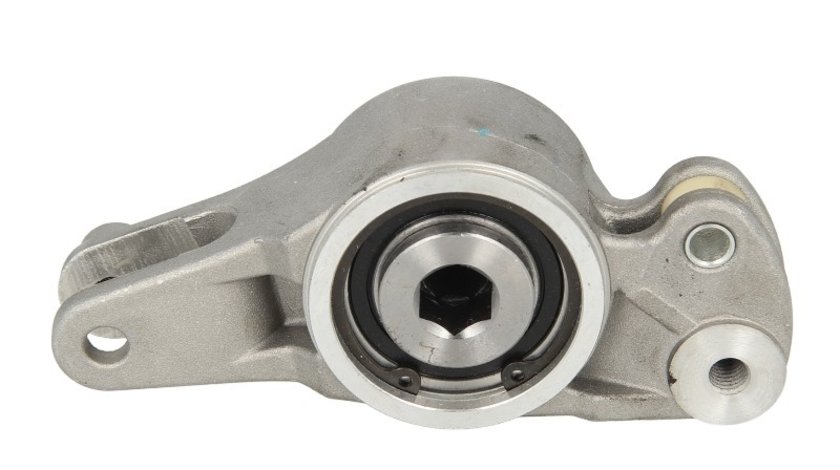 Intinzator curea accesorii MERCEDES-BENZ C-CLASS (W202) BTA E2M0009BTA