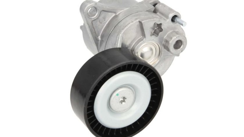 Intinzator curea accesorii MERCEDES-BENZ C-CLASS (W202) BTA E3M0013BTA