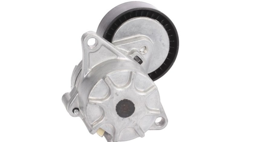 Intinzator curea accesorii MERCEDES-BENZ C-CLASS (W202) BTA E2M0013BTA