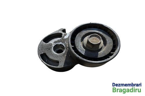 Intinzator curea accesorii Peugeot 206 [1998 - 2003] Hatchback 5-usi 1.4 HDI MT (68 hp)
