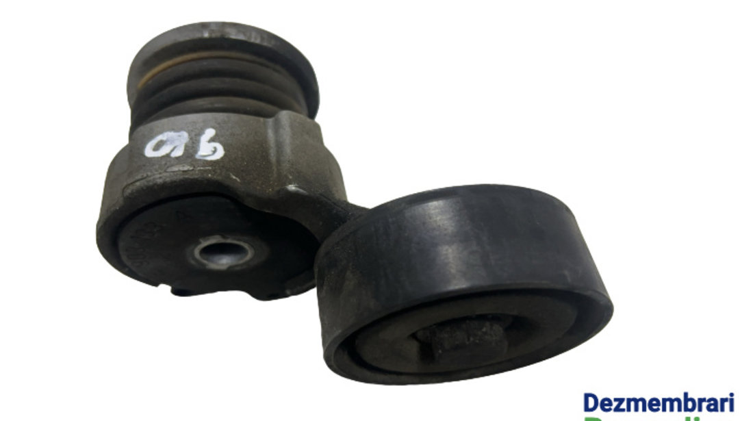 Intinzator curea accesorii Seat Ibiza 4 6J [2008 - 2012] Hatchback 5-usi 1.2 MT (60 hp) Cod motor CGPB