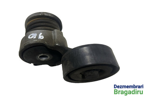 Intinzator curea accesorii Seat Ibiza 4 6J [2008 - 2012] Hatchback 5-usi 1.2 MT (60 hp) Cod motor CG...