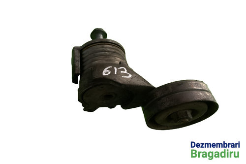 Intinzator curea accesorii Volkswagen VW Golf 4 [1997 - 2006] Hatchback 5-usi 1.4 MT (75 hp)