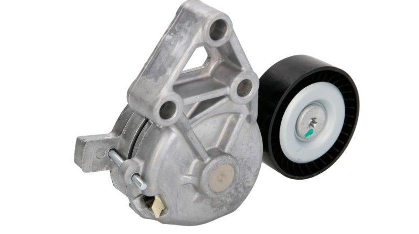 Intinzator curea accesorii VW SHARAN (7M8, 7M9, 7M6) BTA E3W0024BTA