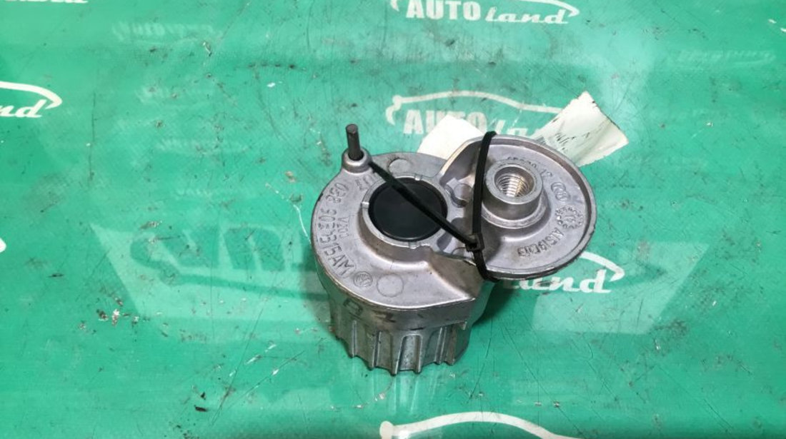 Intinzator Curea Alternator 038903315am 2.0 TDI Skoda OCTAVIA 1Z3 2004