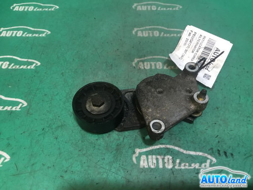 Intinzator Curea Alternator 1.6 HDI, 109 CP Peugeot 307 3A/C 2000