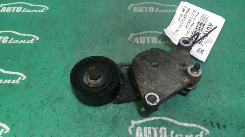 Intinzator Curea Alternator 1.6 HDI, 109 CP Peugeot 307 3A/C 2000