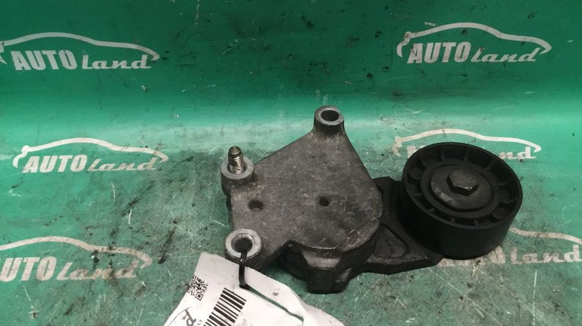 Intinzator Curea Alternator 1.6 HDI Peugeot 307 3A/C 2000