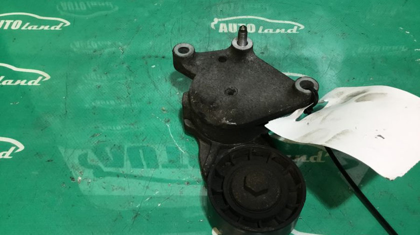 Intinzator Curea Alternator 1.6 HDI Peugeot 307 3A/C 2000