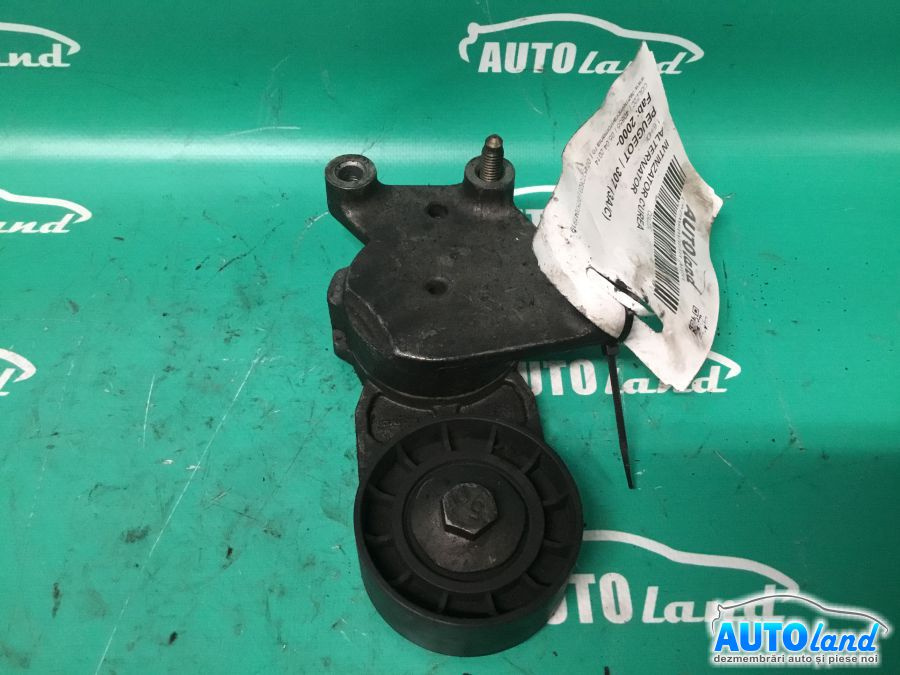 Intinzator Curea Alternator 1.6 HDI Peugeot 307 3A/C 2000