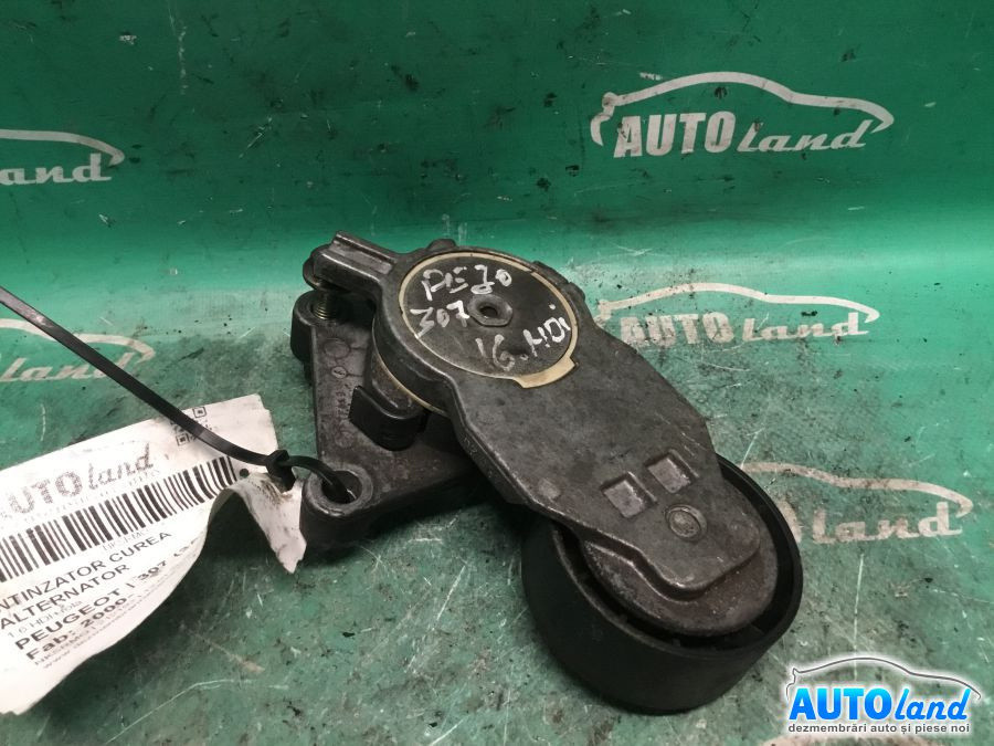 Intinzator Curea Alternator 1.6 HDI+rola Peugeot 307 3A/C 2000