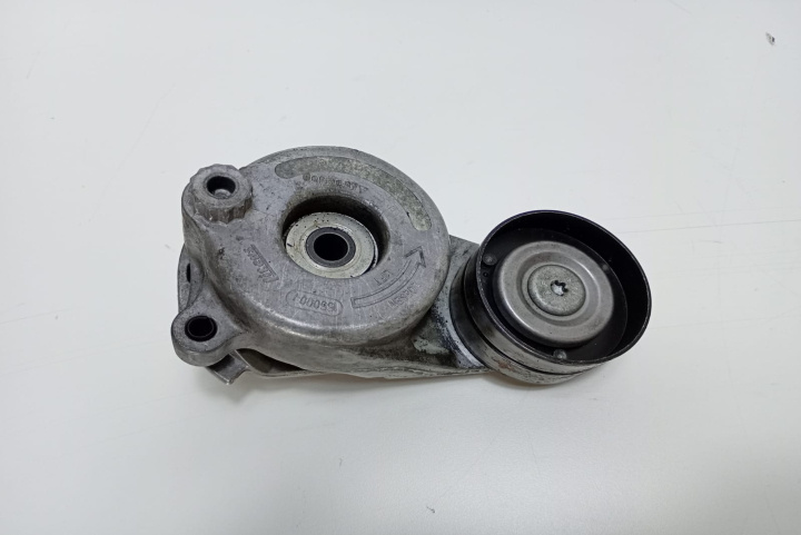 Intinzator curea alternator 3.0 cdi 0155