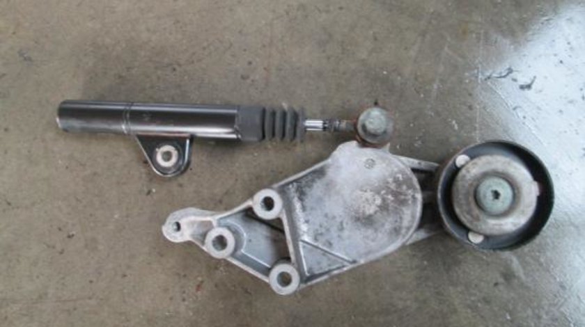 Intinzator Curea Alternator Cu Amortizor VW 1.9 TDI AGR, ALH, AHF & ASV