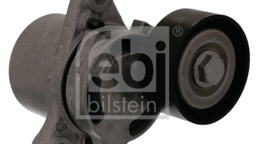 Intinzator curea, curea distributie (100168 FEBI BILSTEIN) BMW