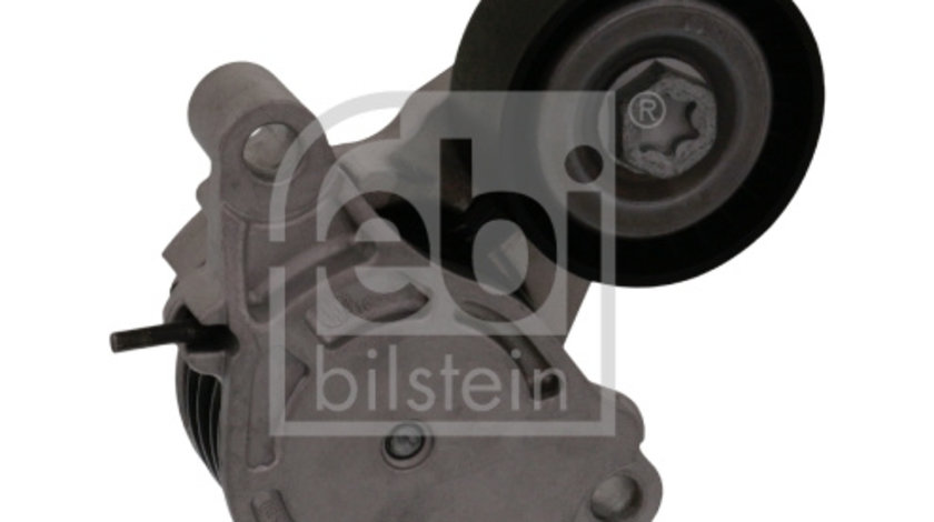 Intinzator curea, curea distributie (100169 FEBI BILSTEIN) BMW,MINI