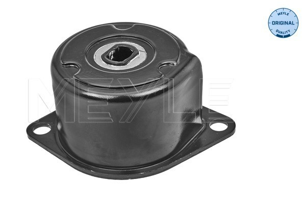 Intinzator curea, curea distributie (1009031130 MEYLE) VW