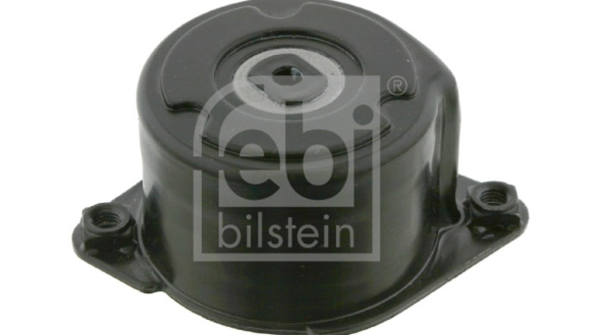 Intinzator curea, curea distributie (27373 FEBI BILSTEIN) BMW