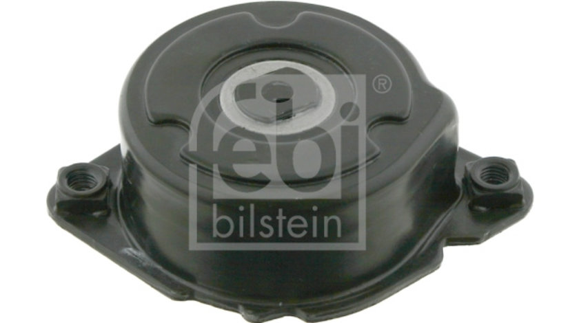 Intinzator curea, curea distributie (27381 FEBI BILSTEIN) BMW