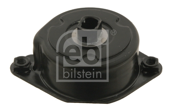 Intinzator curea, curea distributie (30117 FEBI BILSTEIN) BMW