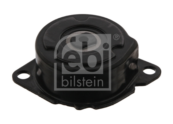 Intinzator curea, curea distributie (34469 FEBI BILSTEIN) BMW