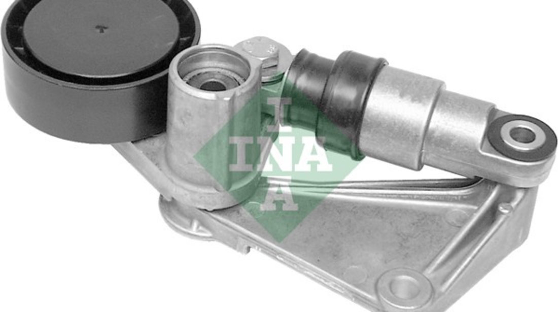 Intinzator curea, curea distributie (534000810 INA) BMW