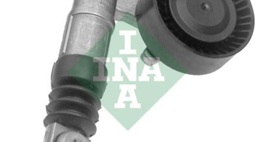 Intinzator curea, curea distributie (534004010 INA) CHRYSLER