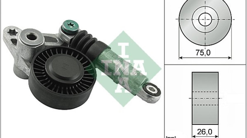 Intinzator curea, curea distributie (534009810 INA) AUDI