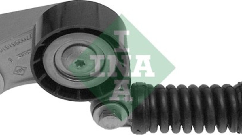 Intinzator curea, curea distributie (534010520 INA) RENAULT,VOLVO